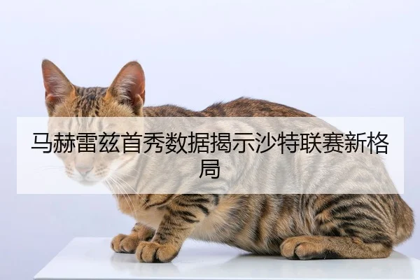 马赫雷兹首秀数据揭示沙特联赛新格局